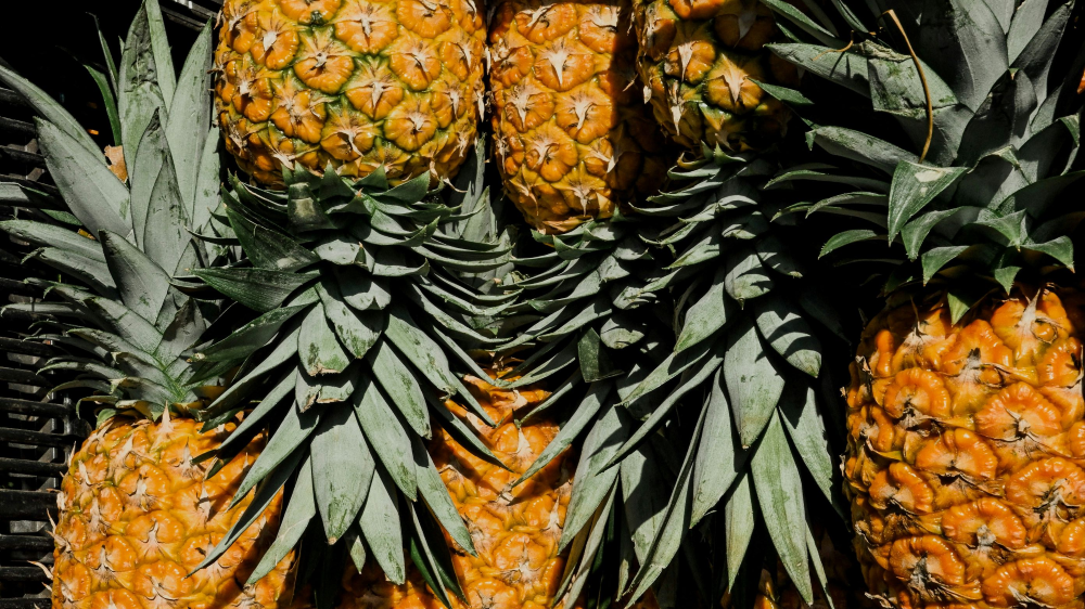 Photo by Emilia Igartua / Unsplash